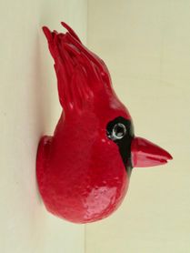 Kardinaals vogel (1)